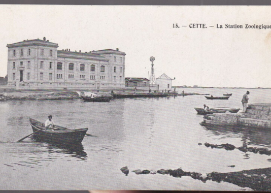 Station Marine de Cette 1900