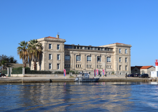 Station Méditerranéenne de l’Environnement Littoral Dir Com UM